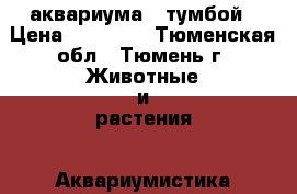 2 аквариума c тумбой › Цена ­ 12 000 - Тюменская обл., Тюмень г. Животные и растения » Аквариумистика   . Тюменская обл.